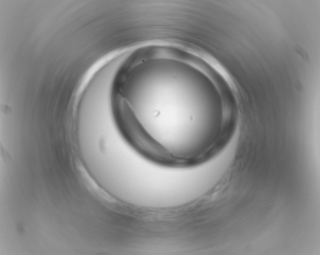 X0000090951148200708021331