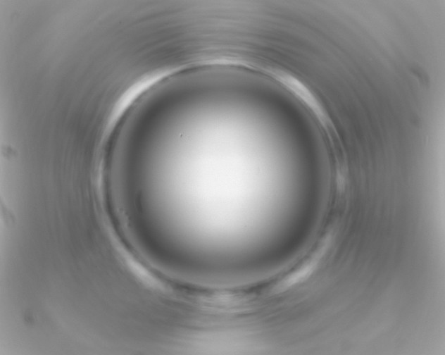 X0000090951149200708021331