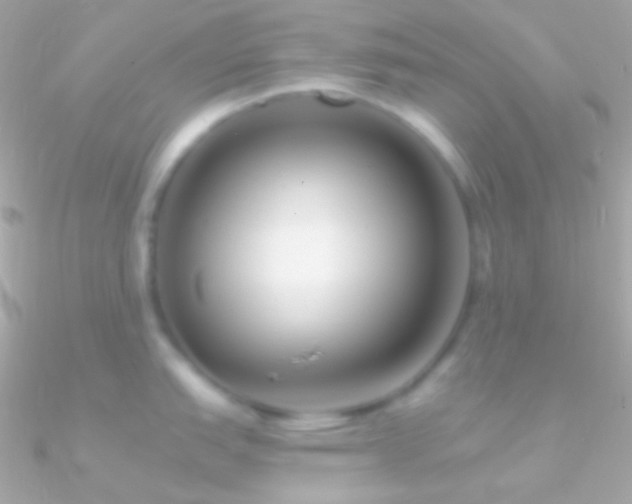 X0000090951151200708021332