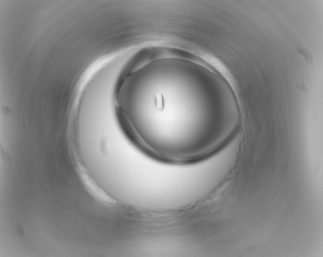 X0000090951152200708021332