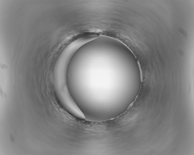 X0000090951153200708021331