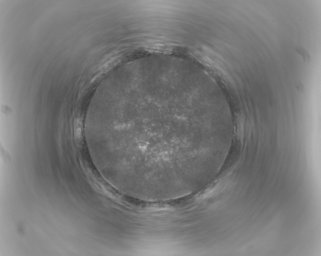 X0000090951154200708021331