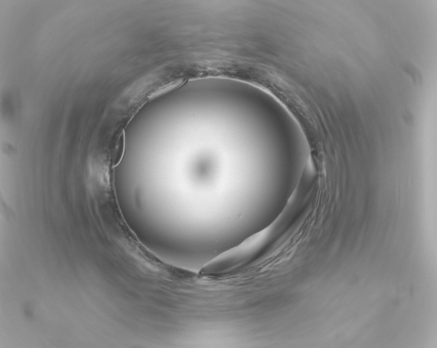 X0000090951155200708021331