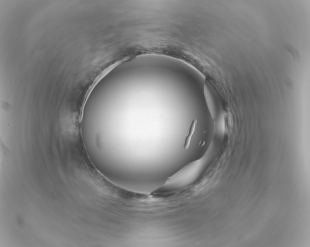 X0000090951156200708021331