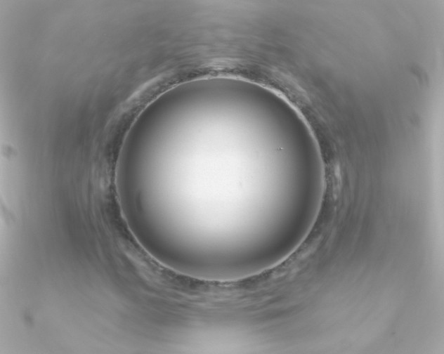 X0000090951158200708021331