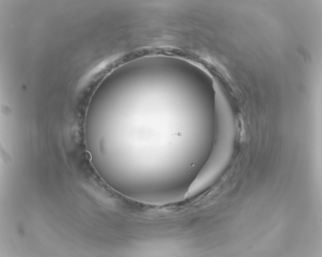 X0000090951159200708021331