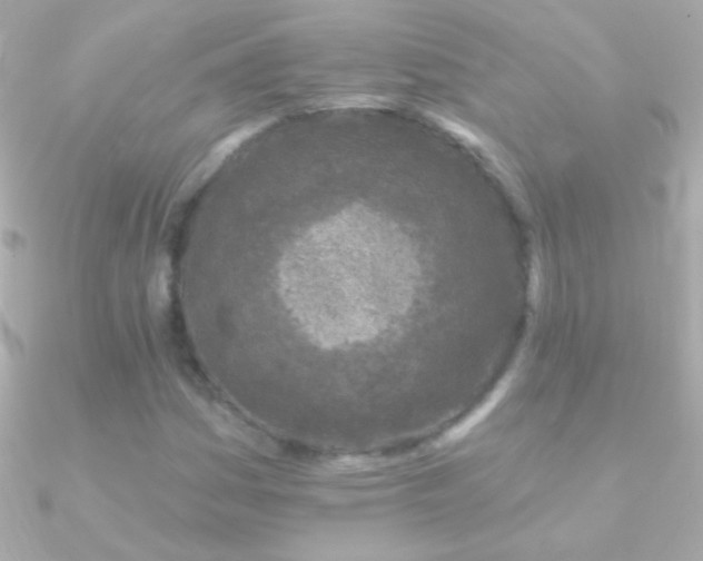 X0000090951161200708021331