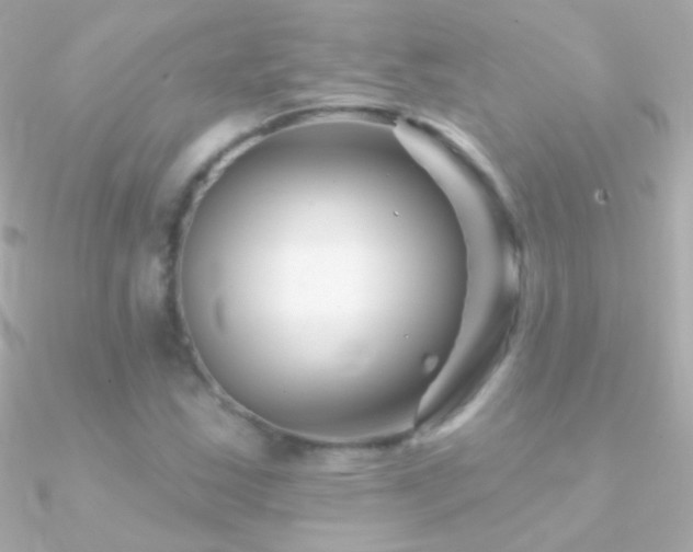 X0000090951163200708021331