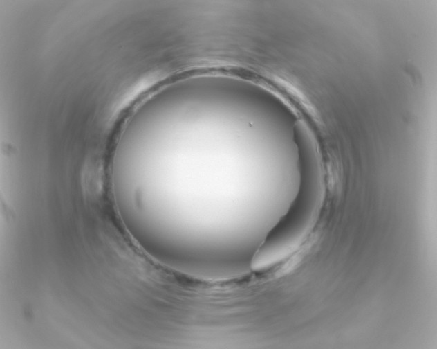 X0000090951165200708021331