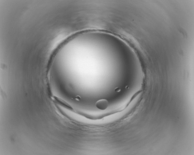 X0000090951168200708021331