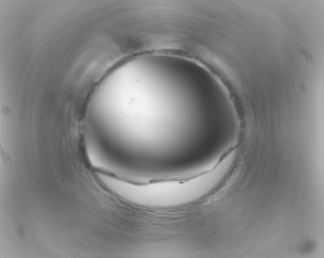 X0000090951169200708021331