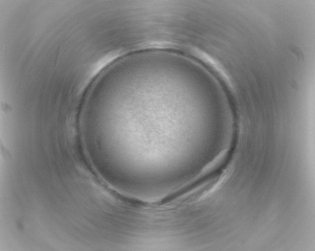 X0000090951170200708021331