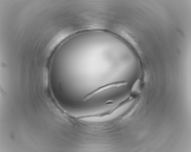 X0000090951171200708021331