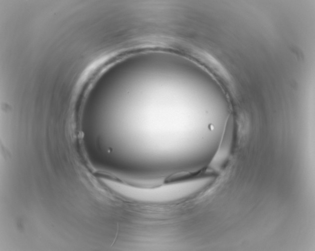 X0000090951172200708021331