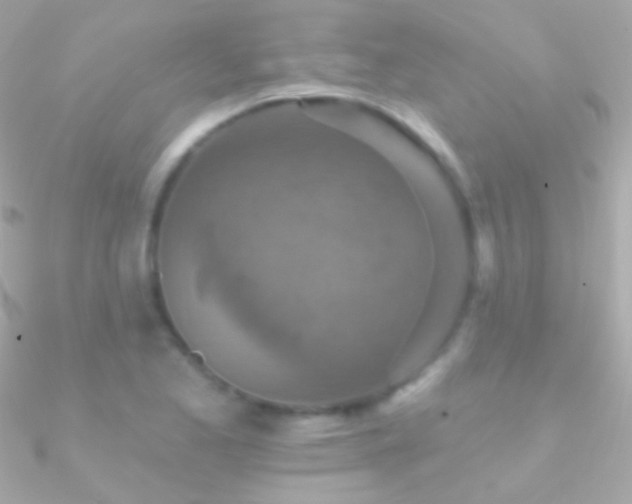 X0000090951173200708021331