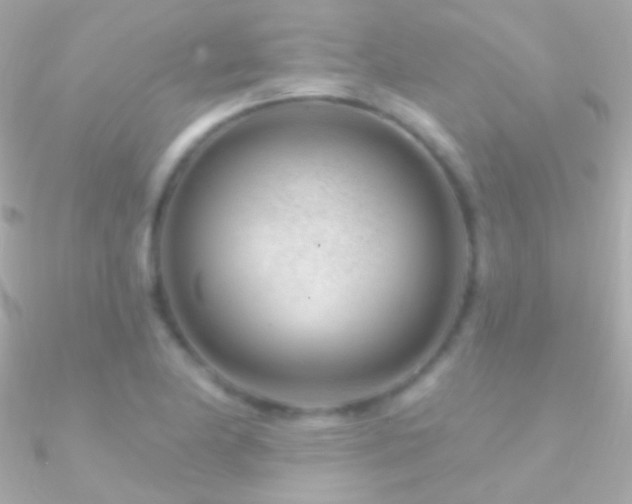 X0000090951174200708021331
