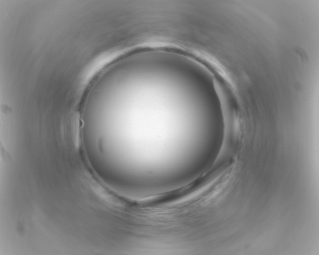 X0000090951175200708021331