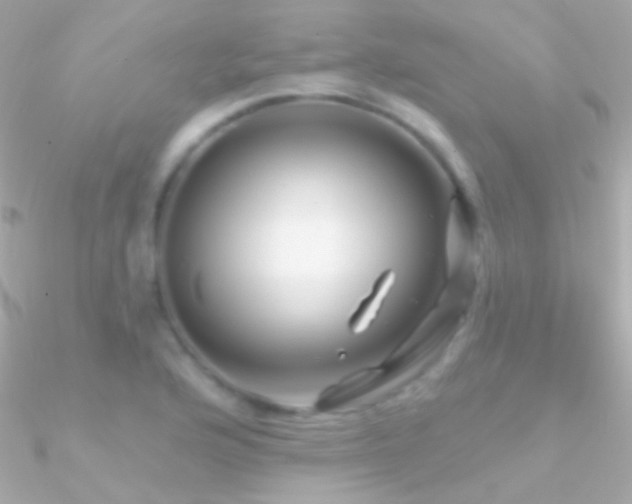 X0000090951176200708021331