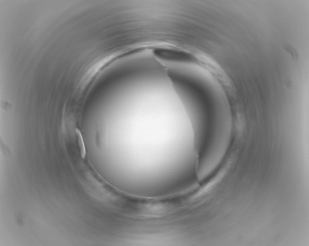 X0000090951177200708021331
