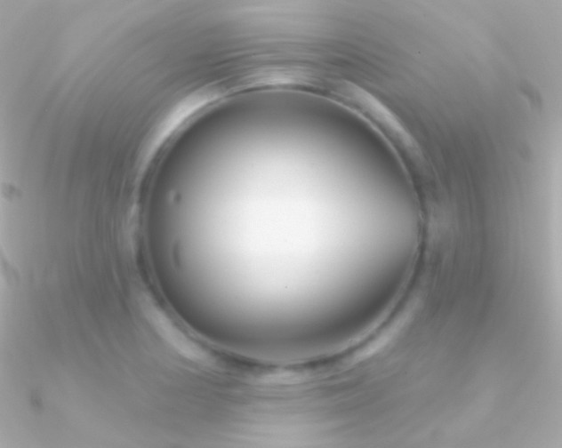 X0000090951178200708021331