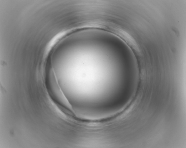 X0000090951180200708021330