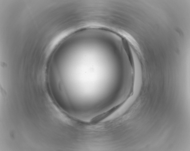 X0000090951183200708021330