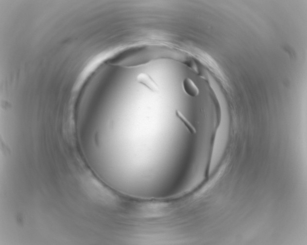 X0000090951184200708021330