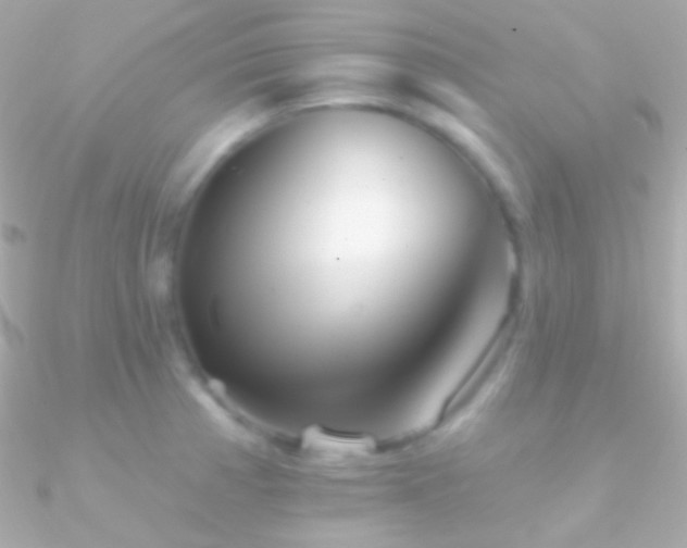 X0000090951185200708021330
