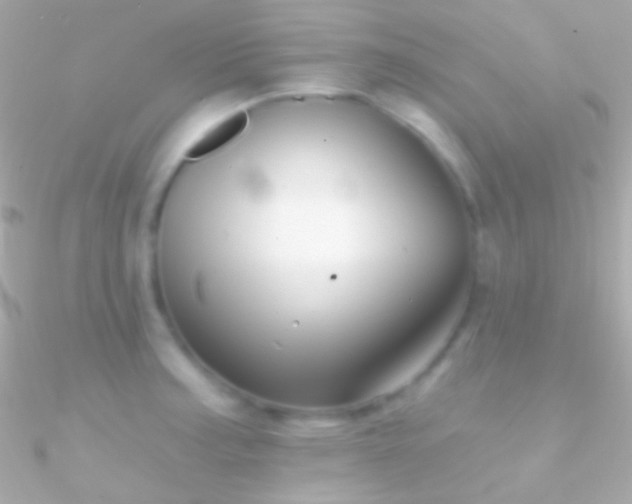 X0000090951187200708021330