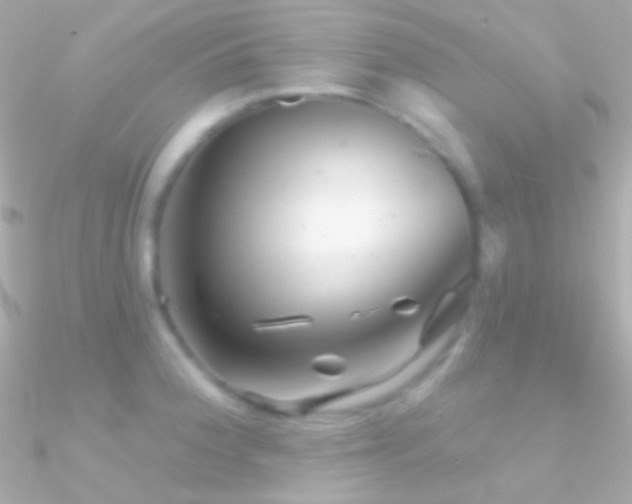 X0000090951188200708021330