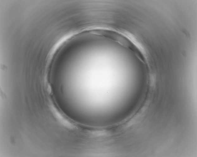 X0000090951189200708021330