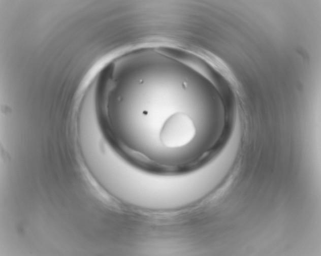 X0000090951192200708021330