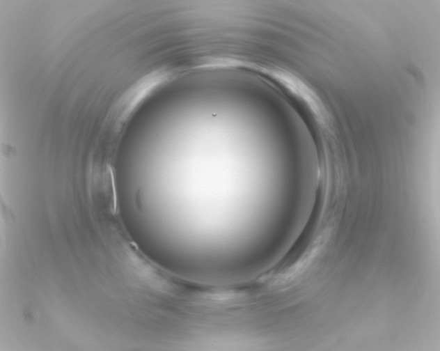 X0000090951193200708021330