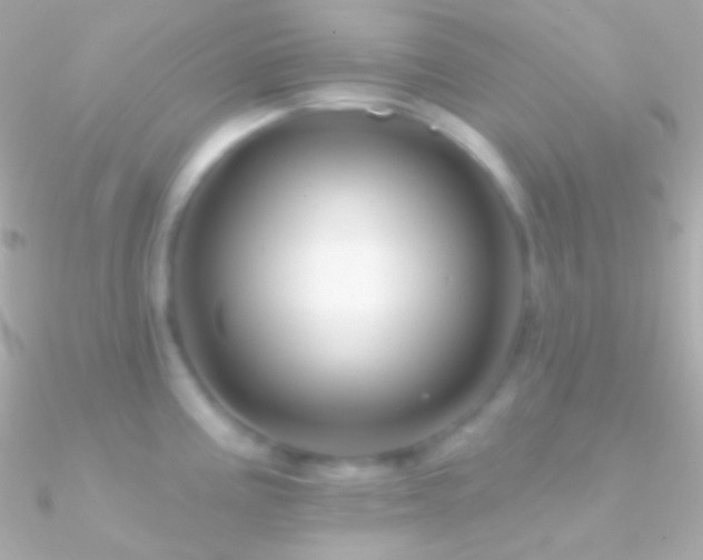 X0000090951195200708021330