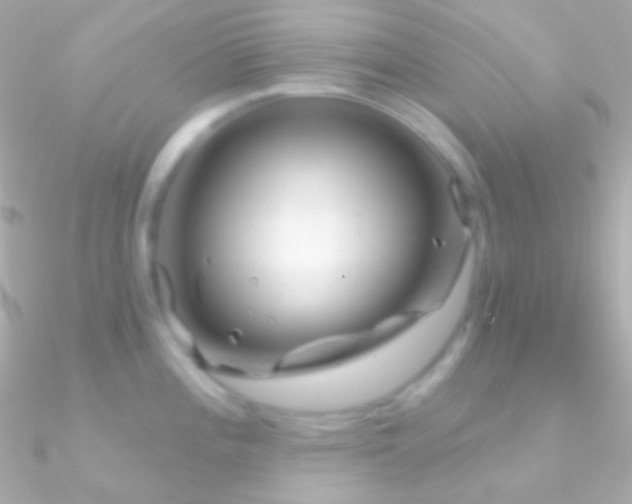 X0000090951196200708021330