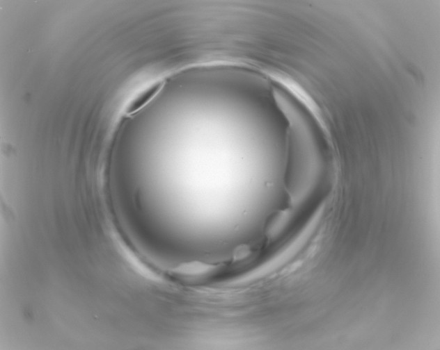 X0000090951197200708021330