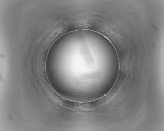 X0000090951201200708021330