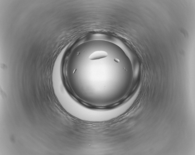 X0000090951202200708021330