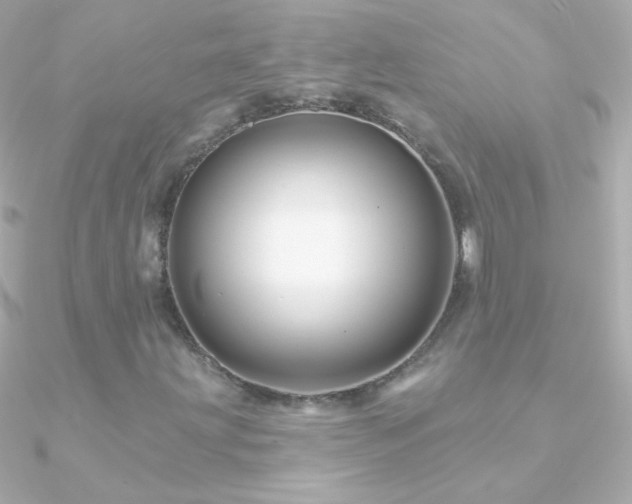X0000090951203200708021330