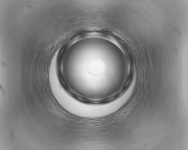 X0000090951204200708021330
