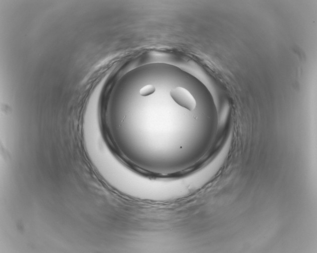 X0000090951206200708021330