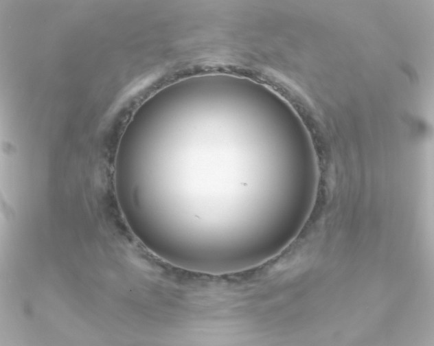 X0000090951207200708021330