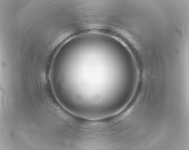 X0000090951209200708021330