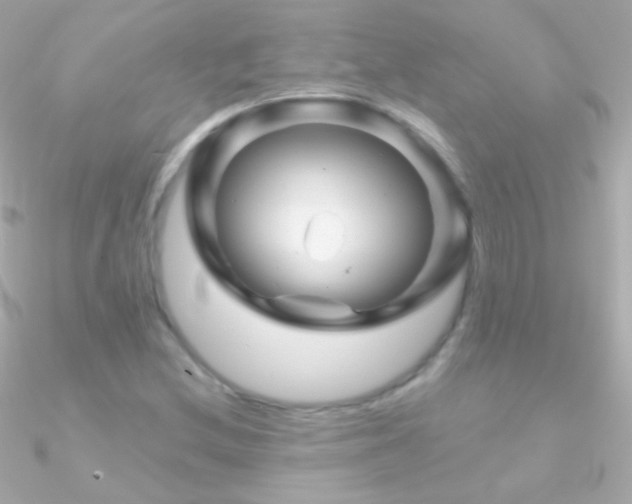 X0000090951212200708021330