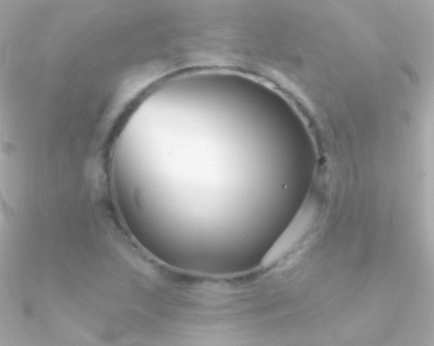 X0000090951215200708021330