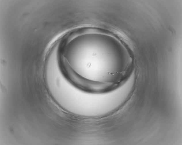 X0000090951216200708021330