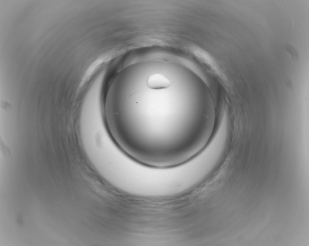 X0000090951218200708021330