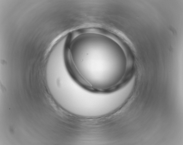 X0000090951220200708021330
