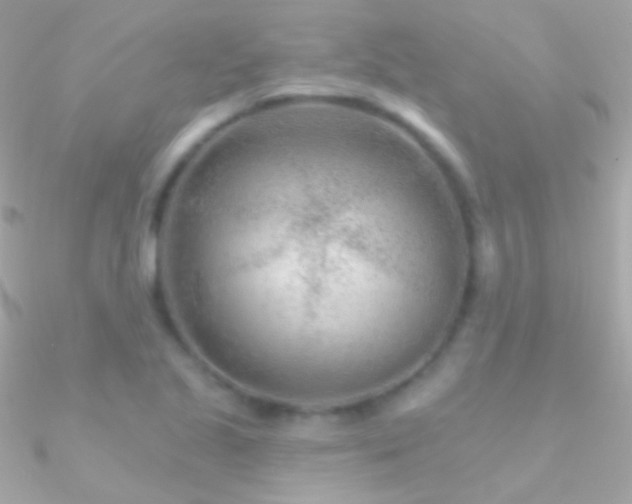 X0000090951221200708021330