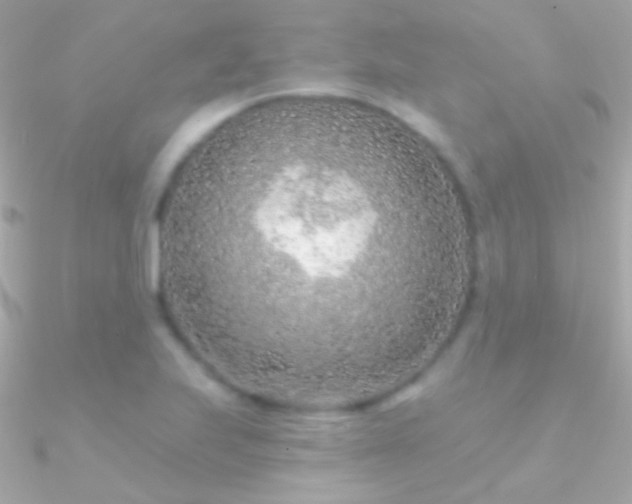 X0000090951223200708021330